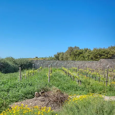 The Delimara Lighthouse - A Unique, Cultural By 360 Estates Marsaxlokk