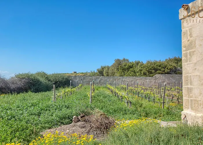 The Delimara Lighthouse - A Unique, Cultural By 360 Estates Marsaxlokk